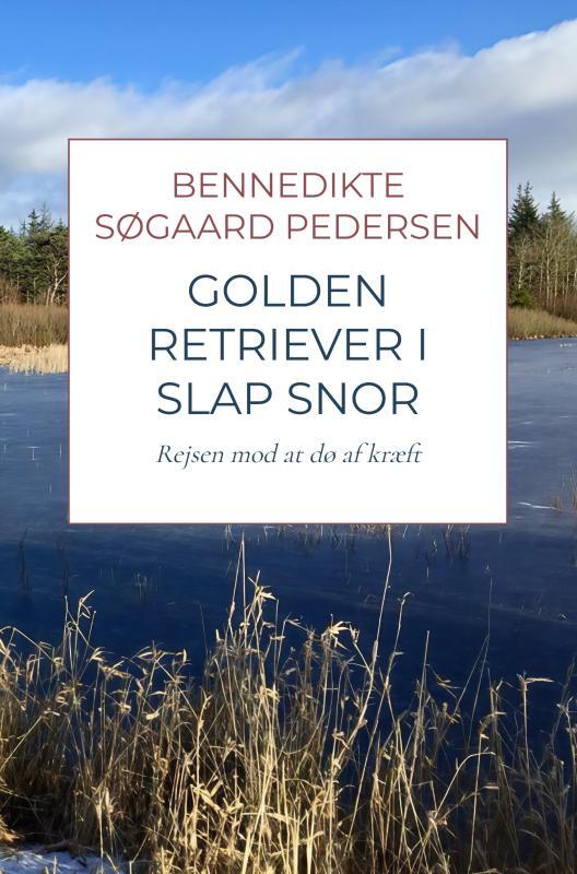 Golden Retriever i slap snor