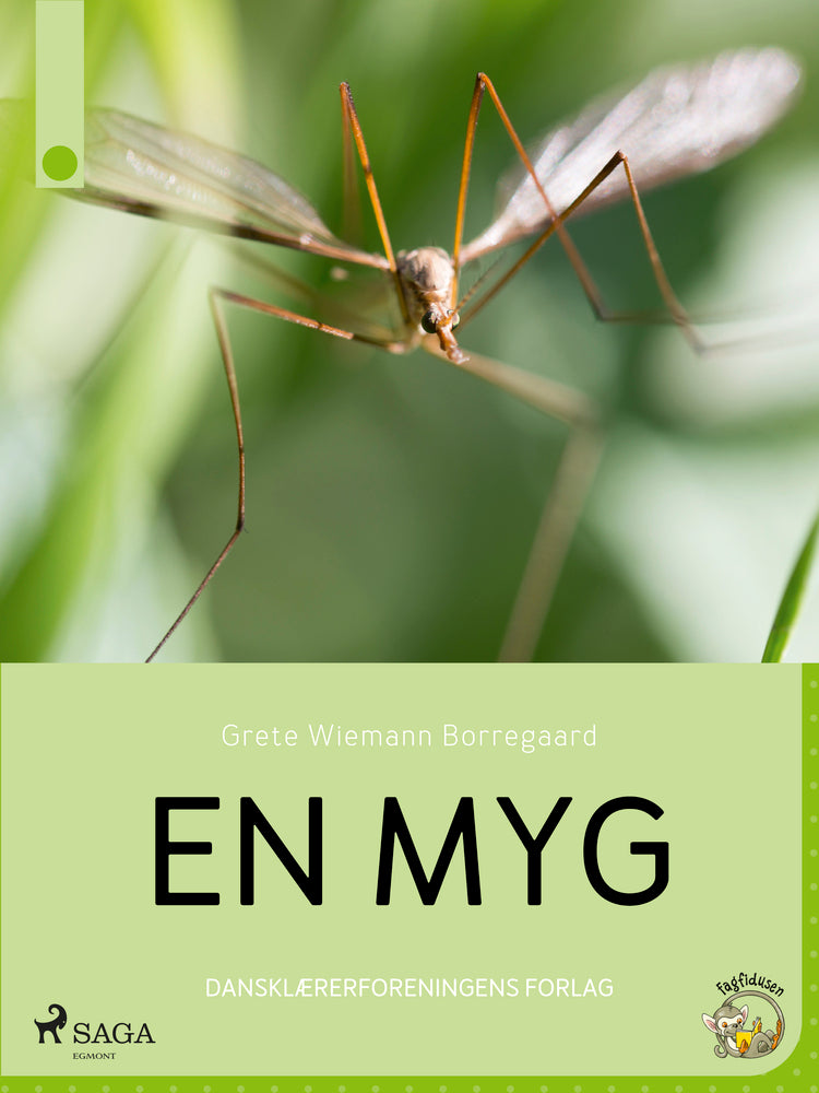 En myg