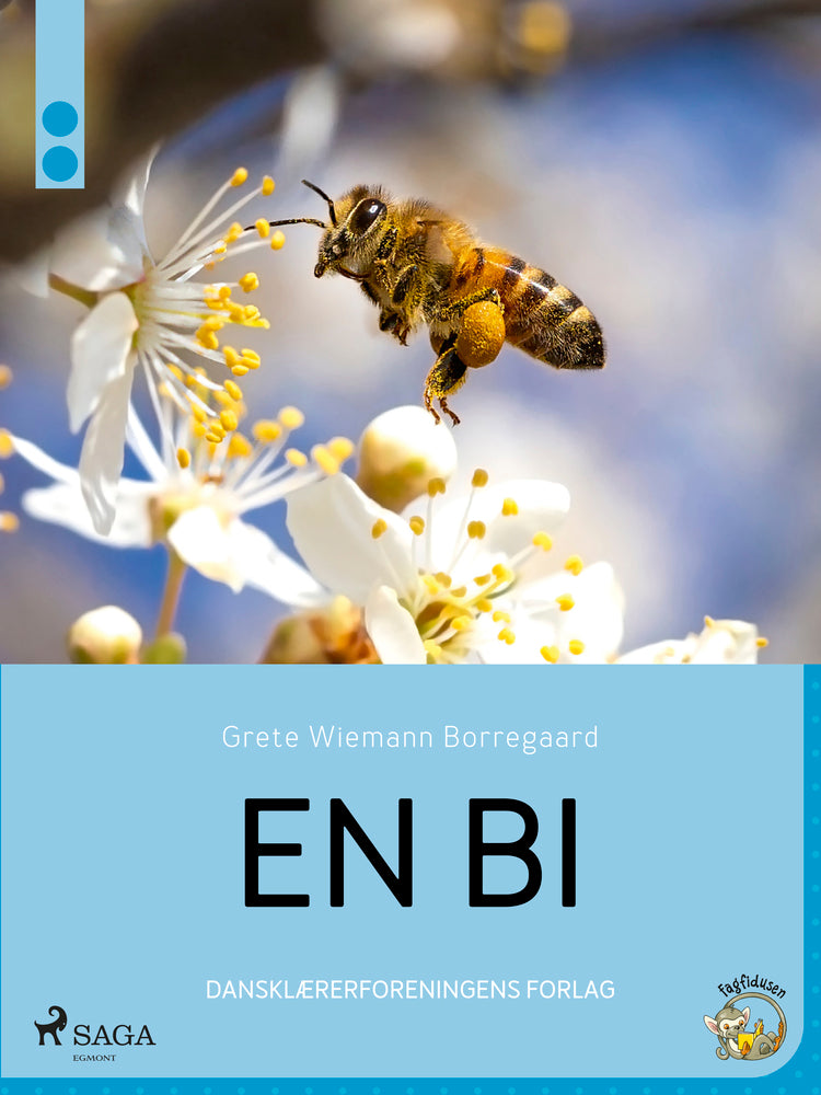 En bi