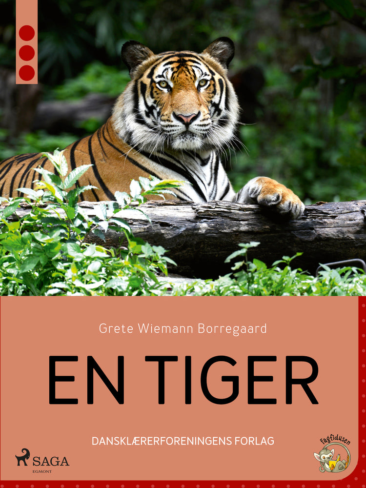En tiger
