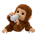 LLP MY BABY MONKEY