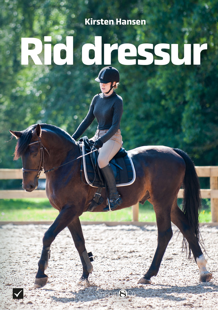 Rid dressur