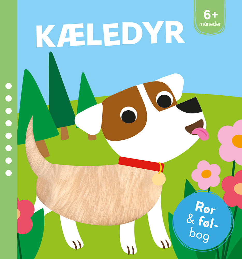 Kæledyr