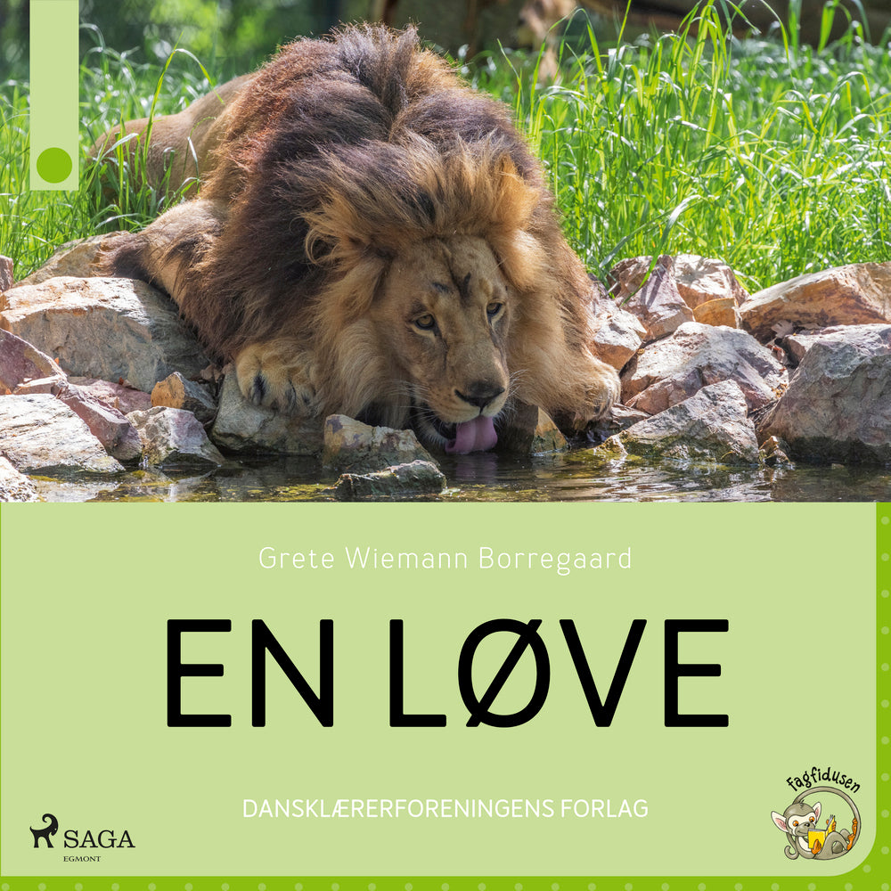 En løve