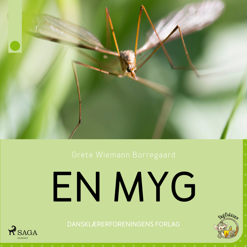 En myg