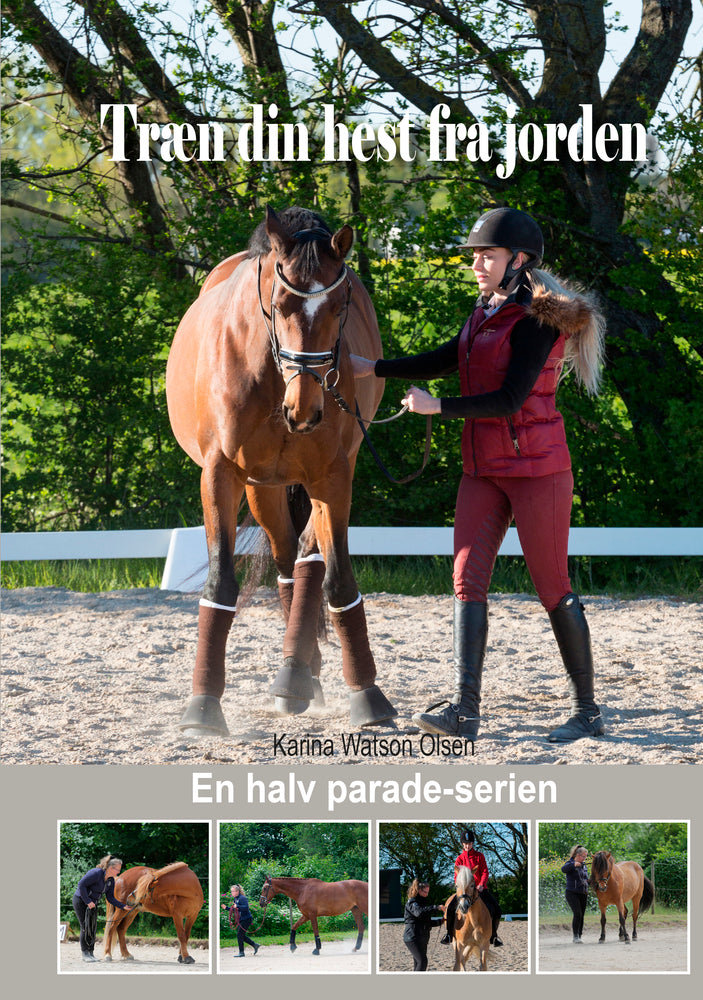 Træn din hest fra jorden