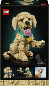 11384 LEGO Icons Golden retriever-hvalp