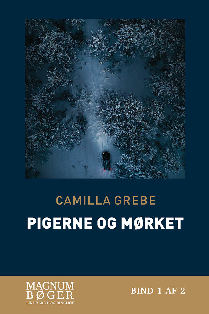 Pigerne og mørket (Storskrift)