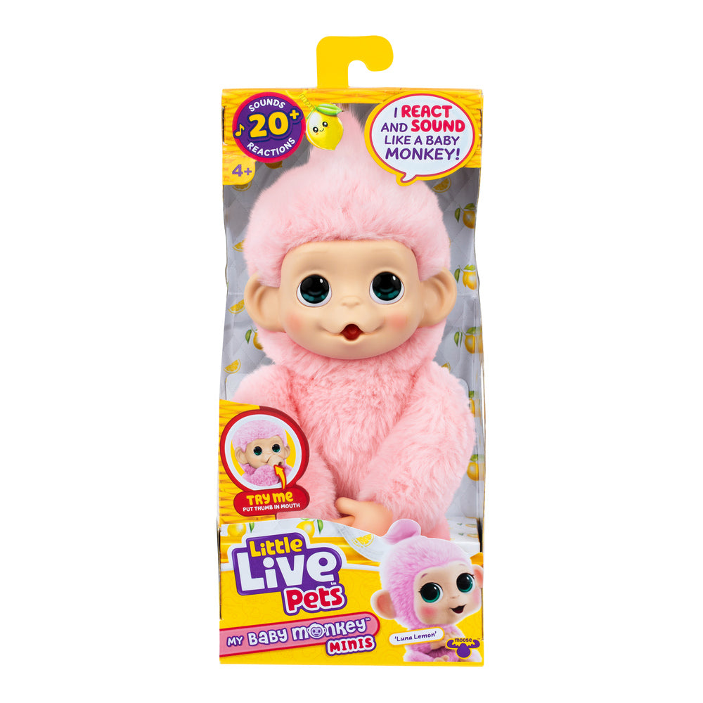 Little Live Pets My Baby Mini Monkey Ass