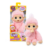 Little Live Pets My Baby Mini Monkey Ass