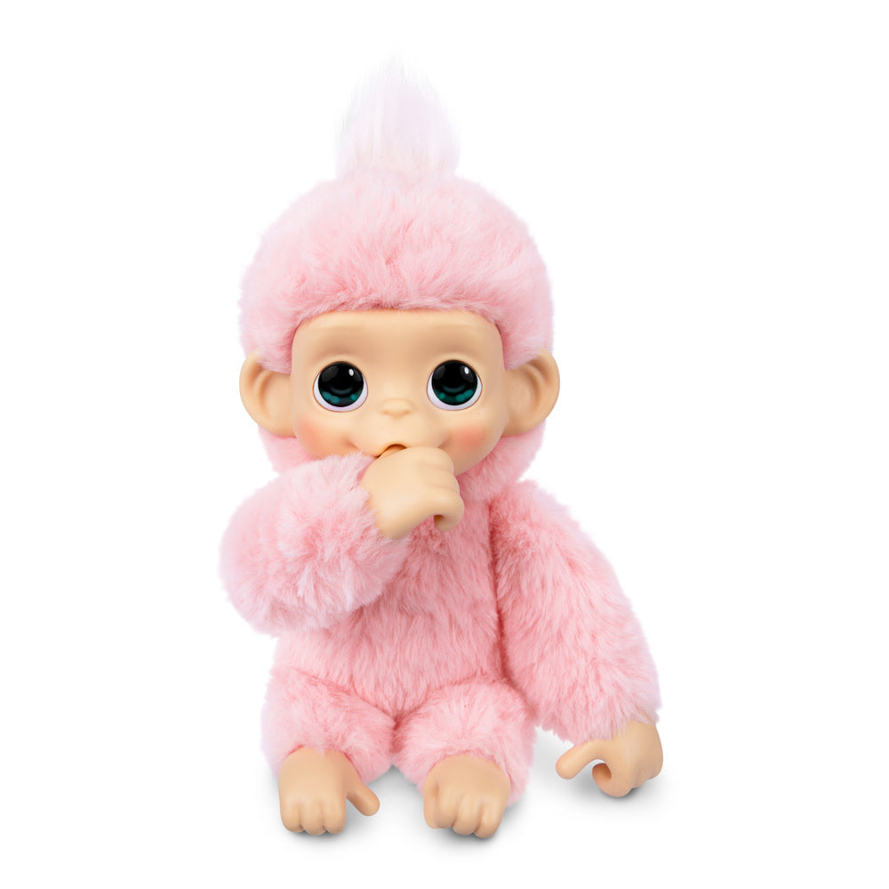 Little Live Pets My Baby Mini Monkey Ass