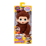 Little Live Pets My Baby Mini Monkey Ass