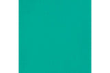 Basics fluid 118ml bright aqua green row 660