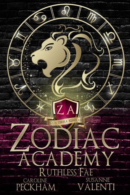D2 Zodiac Academy 2
