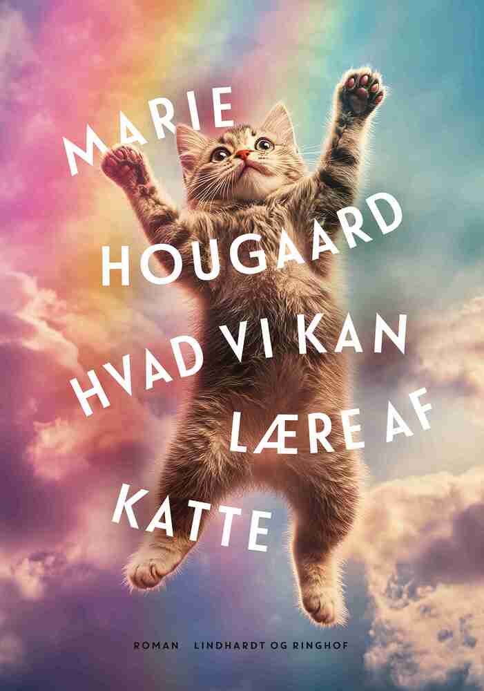 D2 Hvad vi kan lære af katte