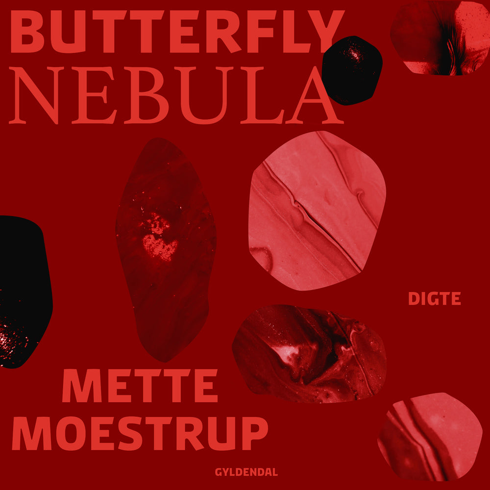 Butterfly Nebula