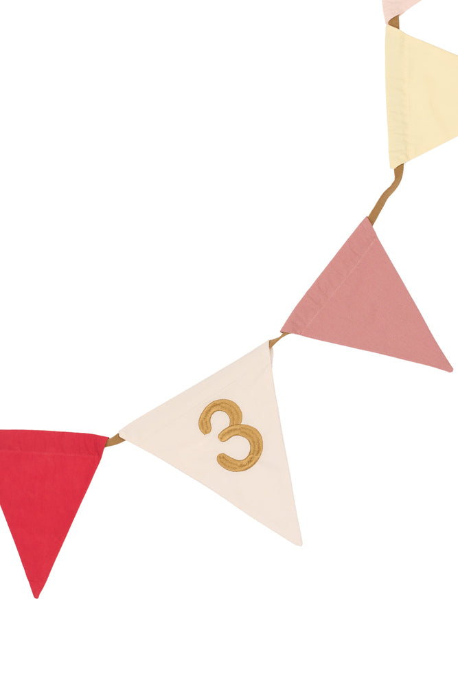 Garland Rose Mix - Birthday
