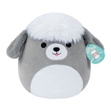 Squishmallows 30 cm Arnold Sheep Dog