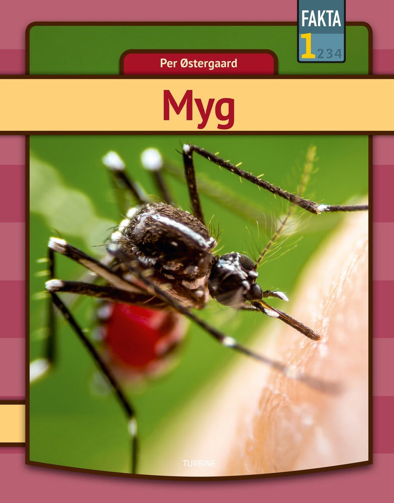 Myg