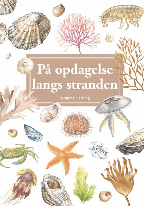 På opdagelse langs stranden, display med 10 stk.