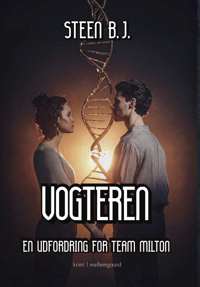 Vogteren