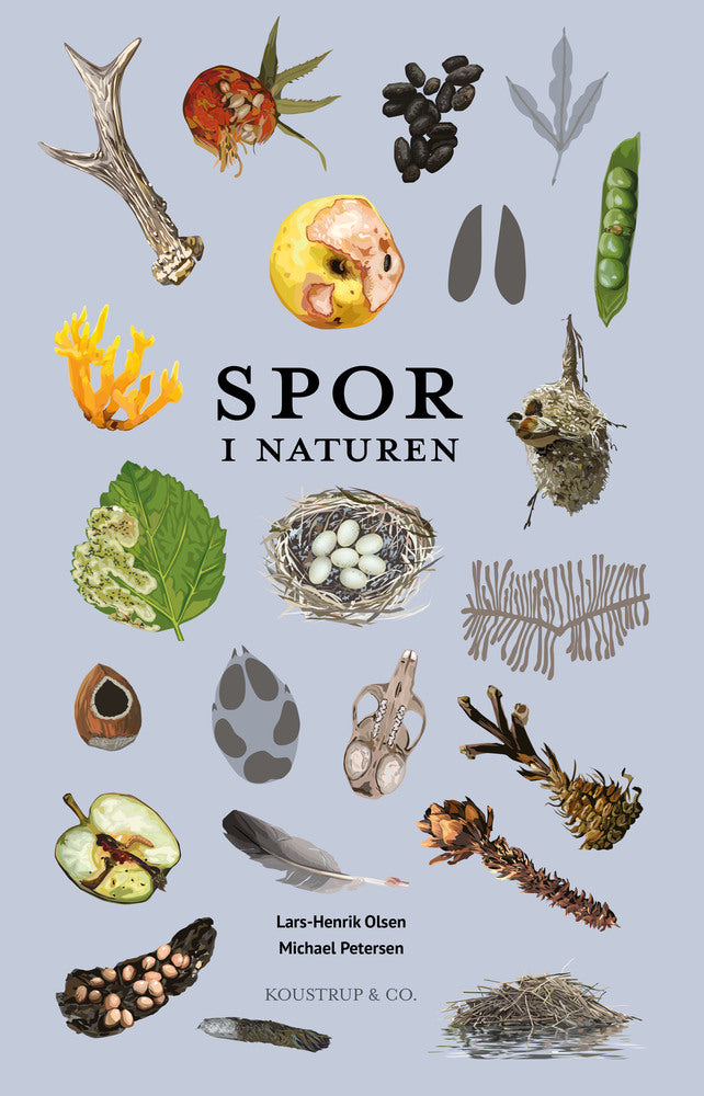 D1 Spor i naturen