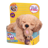 Little Live Pets My Really Real Daxie Puppy