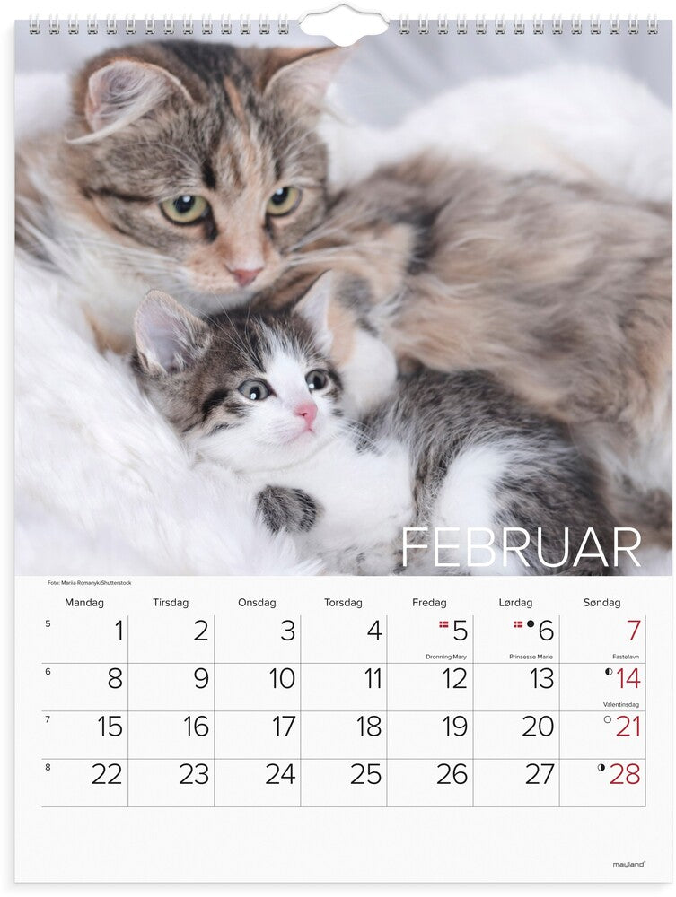 Vægkalender 2027 katte Mayland 29,5 x 39 cm