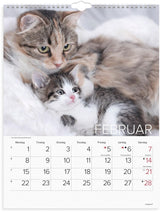 Vægkalender 2027 katte Mayland 29,5 x 39 cm