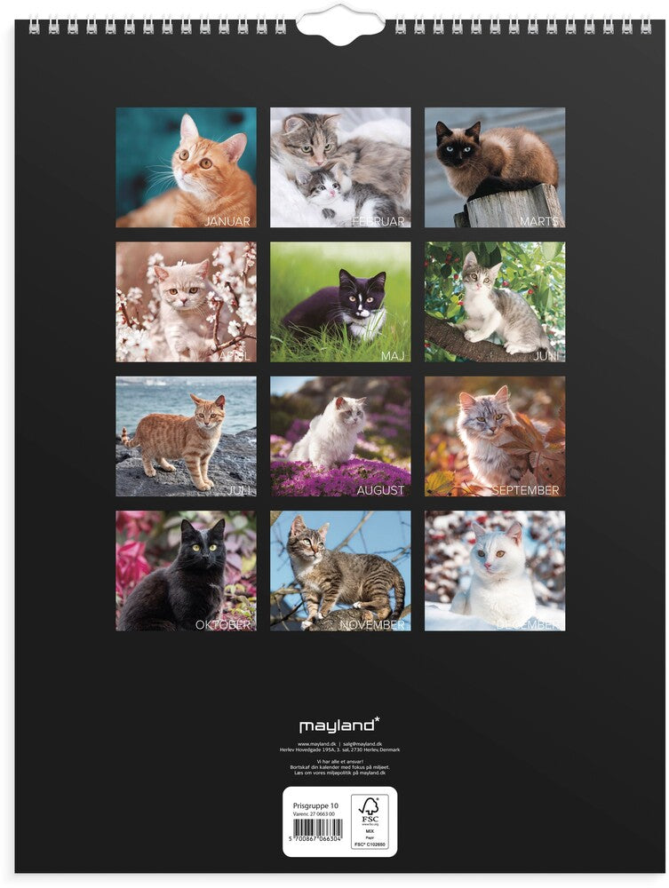 Vægkalender 2027 katte Mayland 29,5 x 39 cm