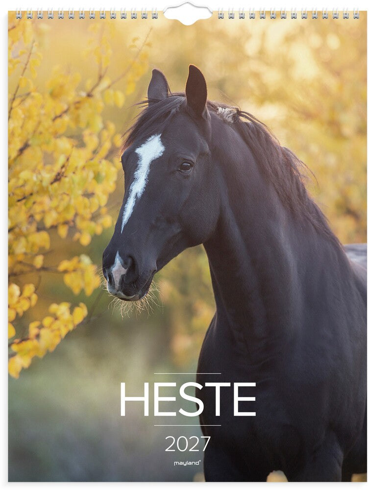 Vægkalender 2027 heste Mayland 29,5 x 39 cm