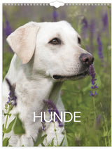 Vægkalender 2027 hunde Mayland 29,5 x 39 cm