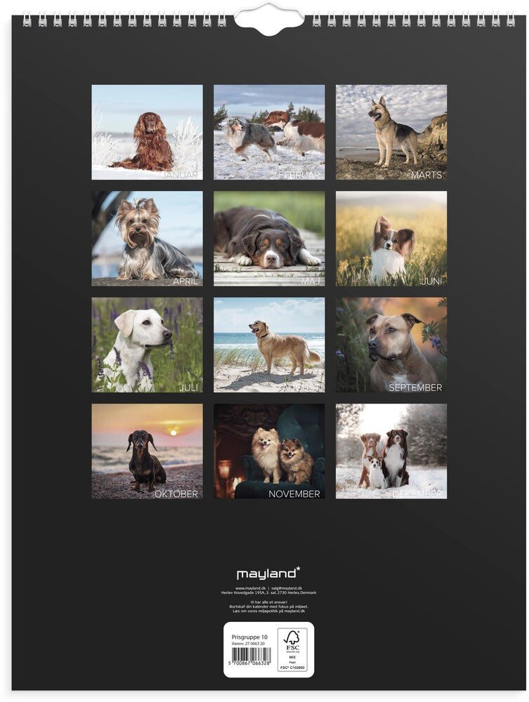 Vægkalender 2027 hunde Mayland 29,5 x 39 cm