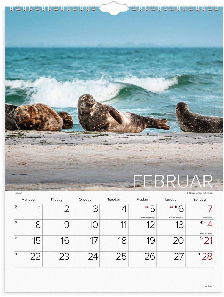 Vægkalender 2027 verdens dyr Mayland højformat 39 x 29,5 cm