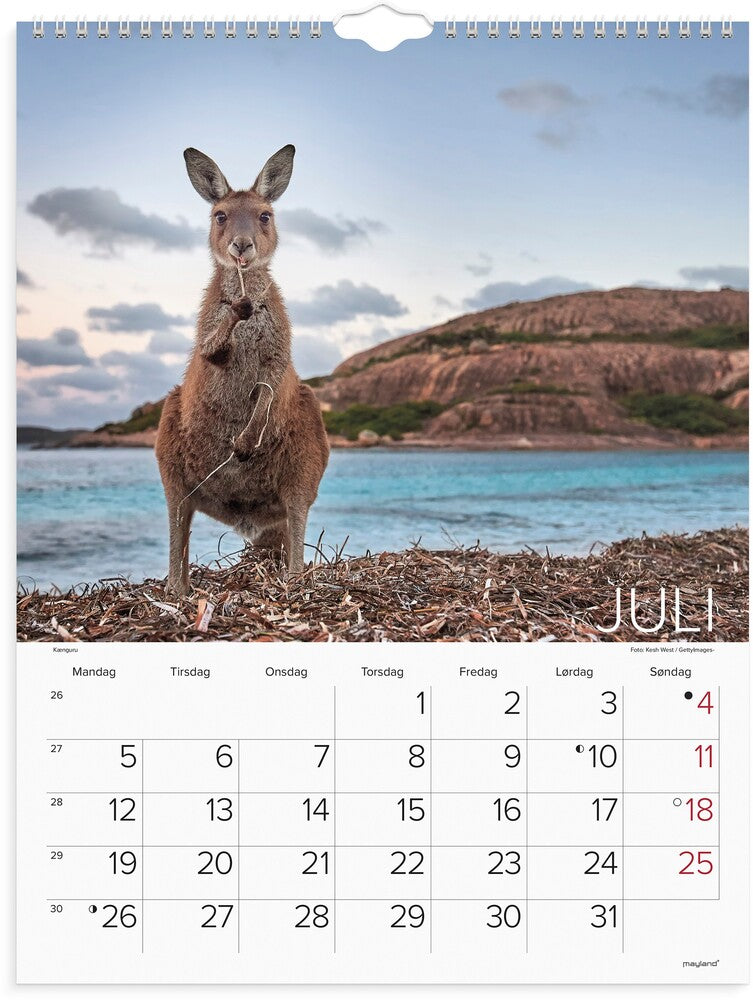 Vægkalender 2027 verdens dyr Mayland højformat 39 x 29,5 cm