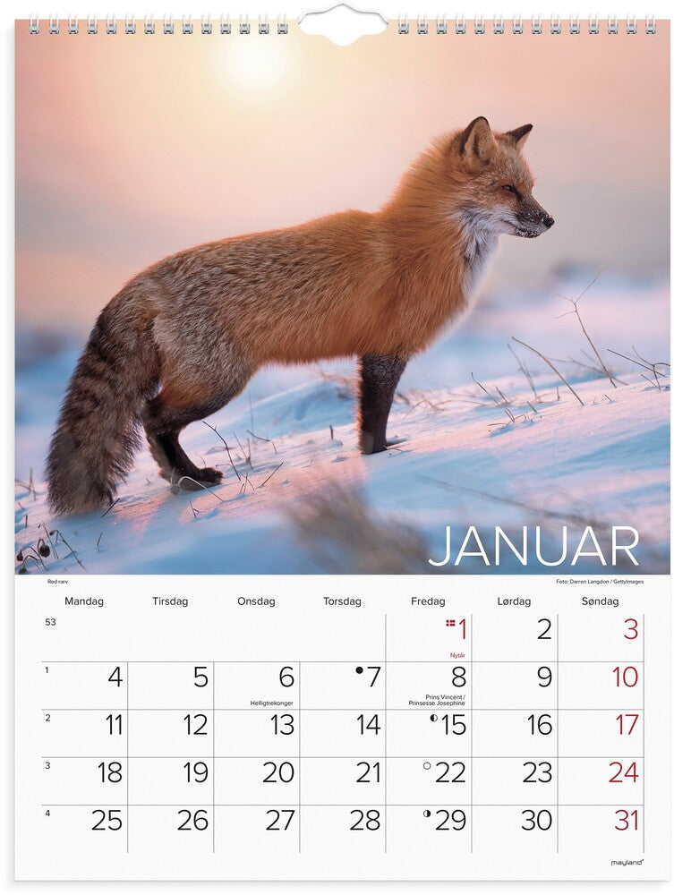 Vægkalender 2027 verdens dyr Mayland højformat 39 x 29,5 cm