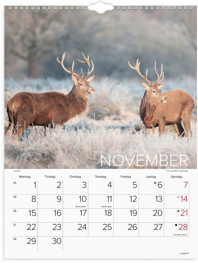 Vægkalender 2027 verdens dyr Mayland højformat 39 x 29,5 cm