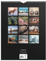 Vægkalender 2027 verdens dyr Mayland højformat 39 x 29,5 cm