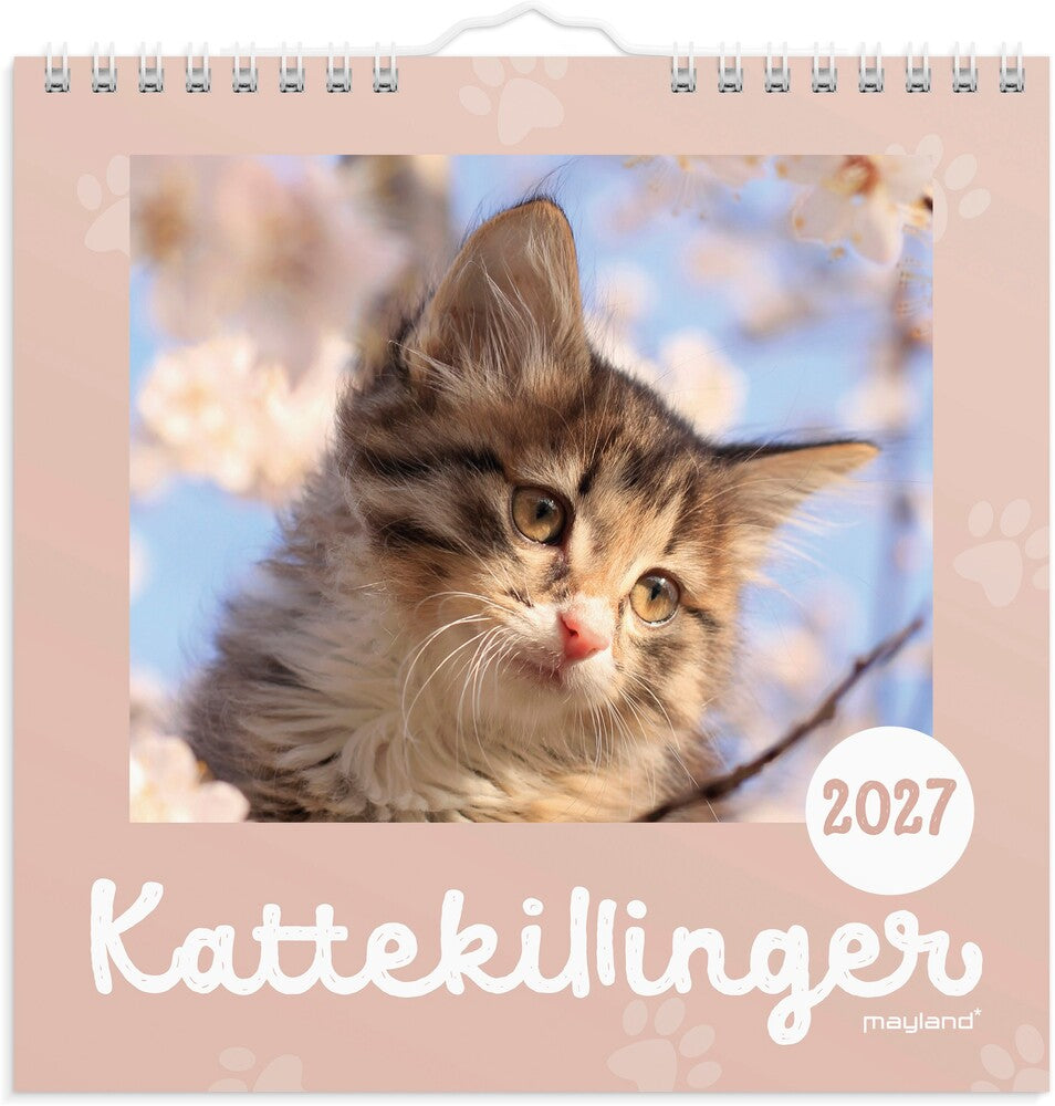 Vægkalender 2027 kattekillinger Mayland 16 x 16 cm