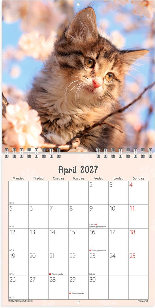 Vægkalender 2027 kattekillinger Mayland 16 x 16 cm