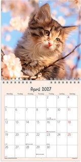 Vægkalender 2027 kattekillinger Mayland 16 x 16 cm