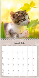 Vægkalender 2027 kattekillinger Mayland 16 x 16 cm