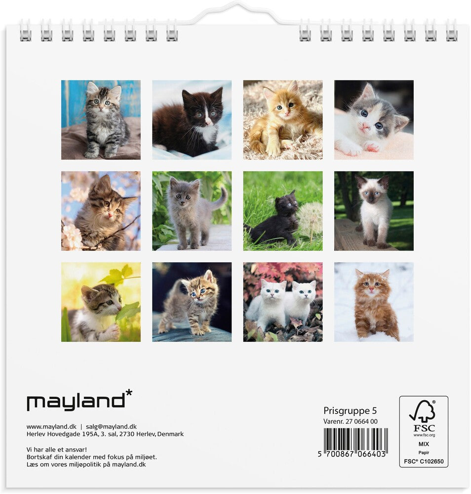 Vægkalender 2027 kattekillinger Mayland 16 x 16 cm