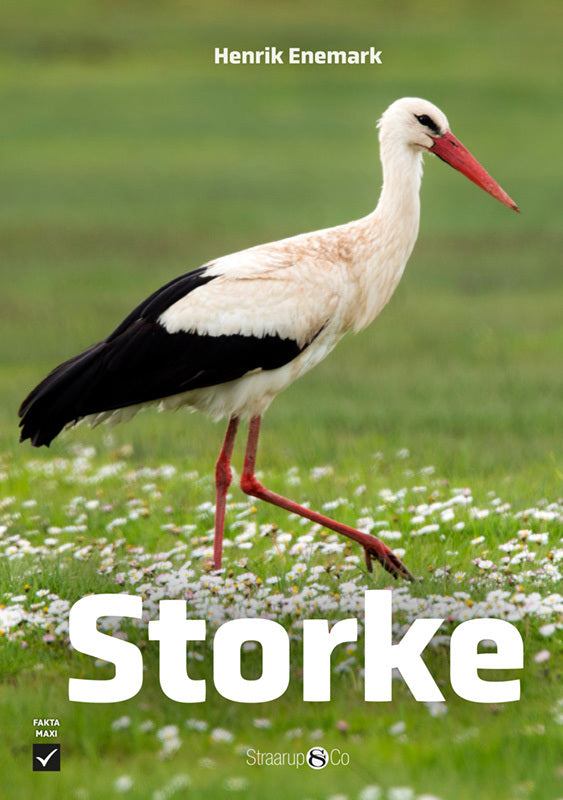Storke