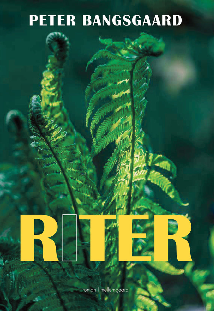RITER