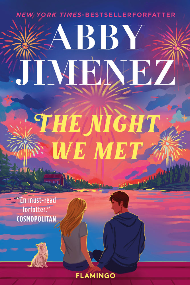 The Night We Met