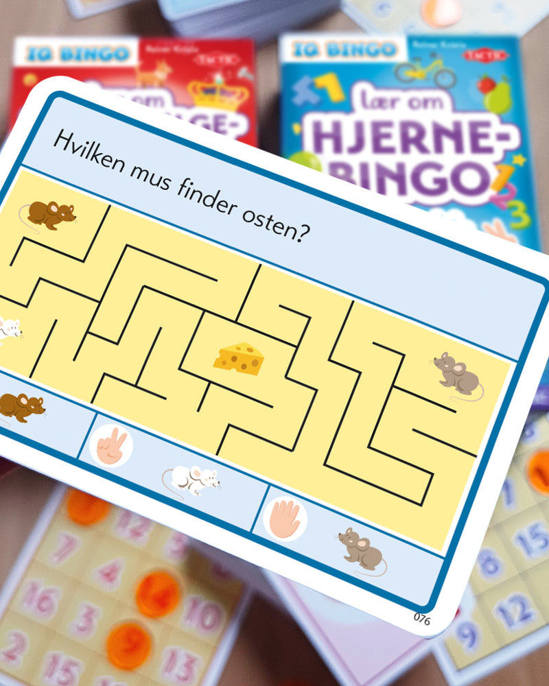Lær Om Hjernebingo IQ Bingo