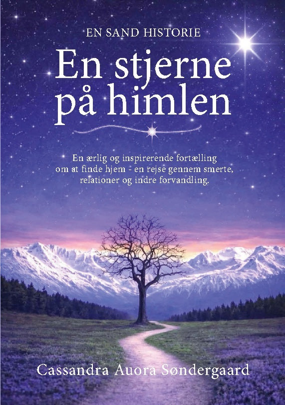 En stjerne på himlen