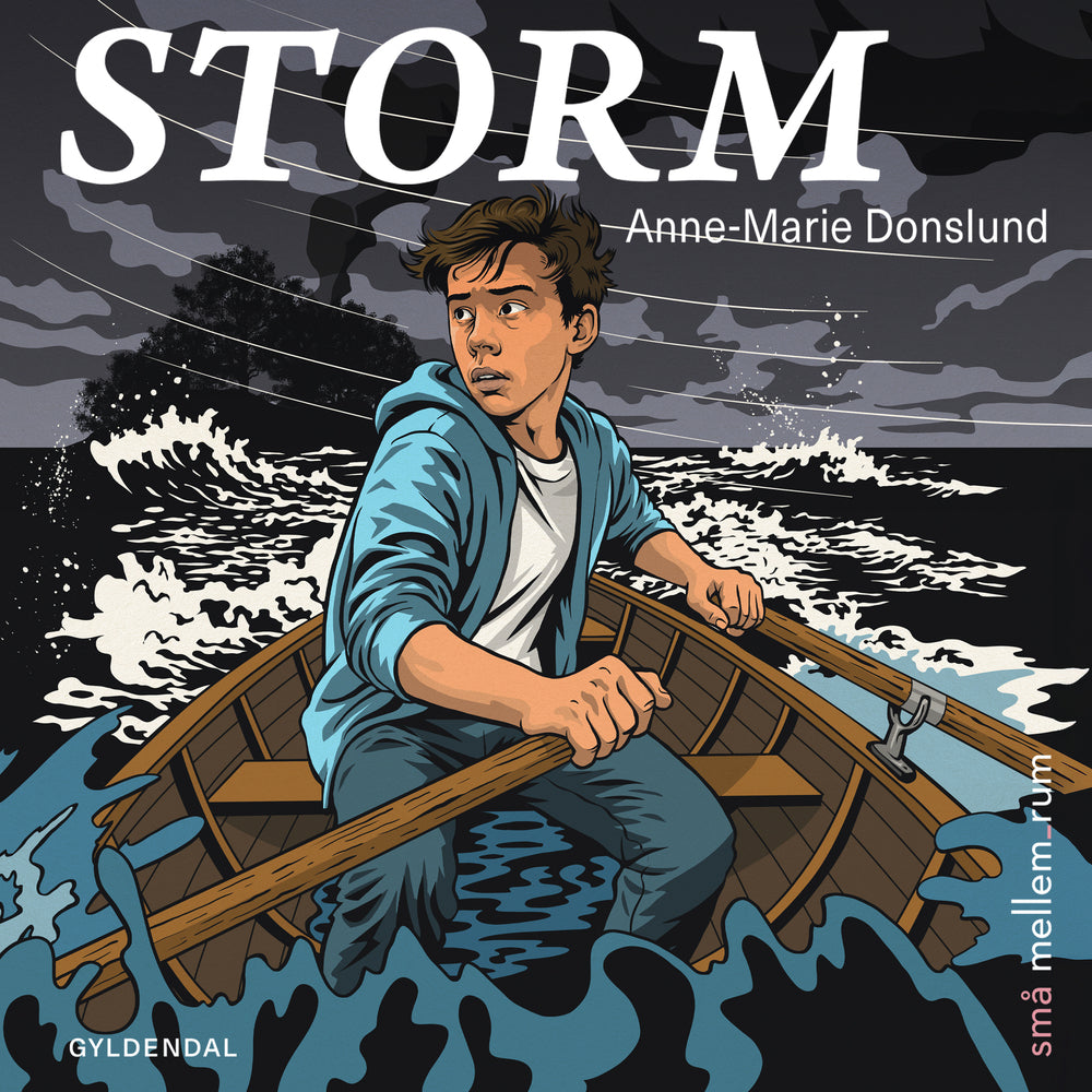 små mellem_rum. Storm