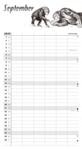 FamilyPlan Skoleåret 25/26 Wild SORT/HVID M/5 KOLONNER